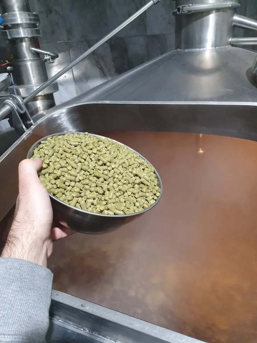 სვია ხარშვის დროს / Adding hops to the boil